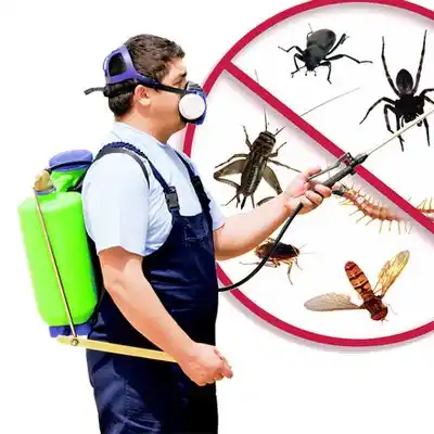 pest control Barnstable